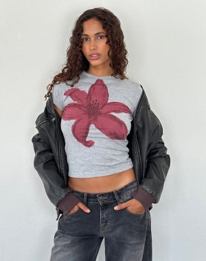 Motel Rocks Sutin Tee T-shirts Damen Grau | MRR9613BD